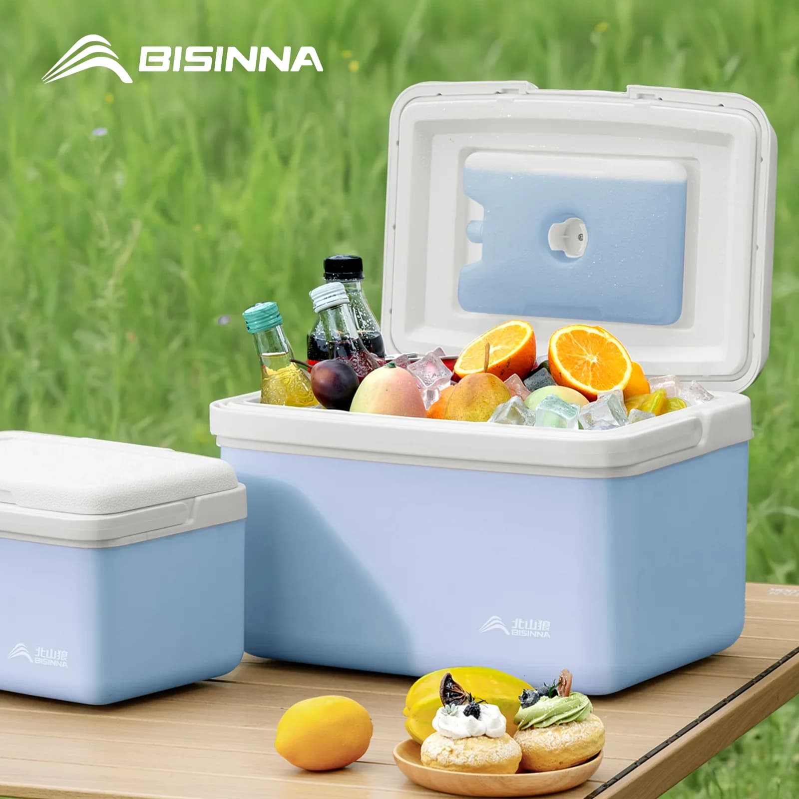BISINNA nešiojama šaldymo dėžė kempingui ir žvejybai, 6L/9L/15L