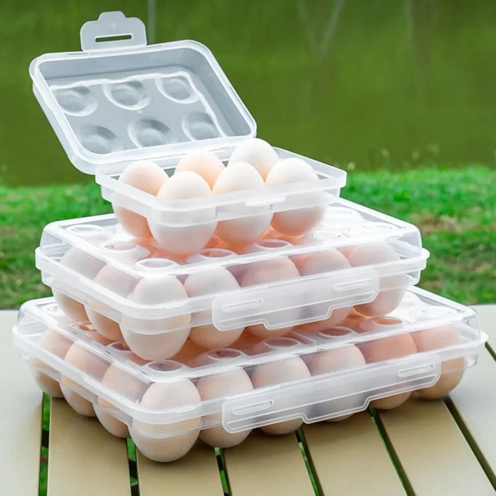 Plastikinė kiaušinių dėžutė su dangteliu šaldytuvui