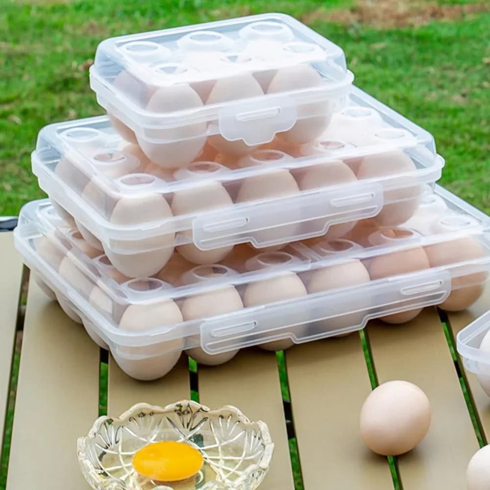 Plastikinė kiaušinių dėžutė su dangteliu šaldytuvui