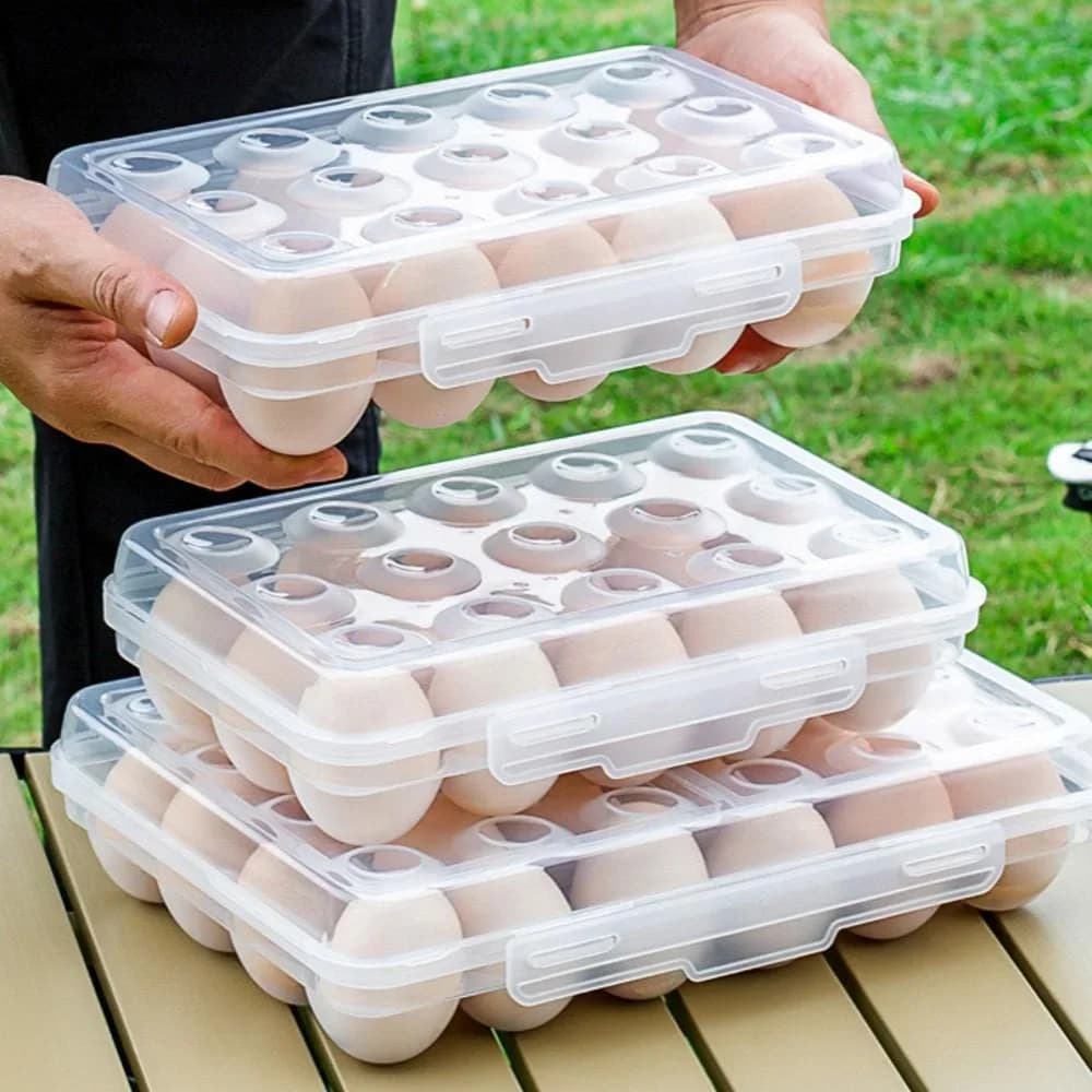 Plastikinė kiaušinių dėžutė su dangteliu šaldytuvui